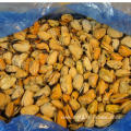 wholesale new arrival frozen boiled mussel meat